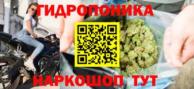 сатива Гусь-Хрустальный