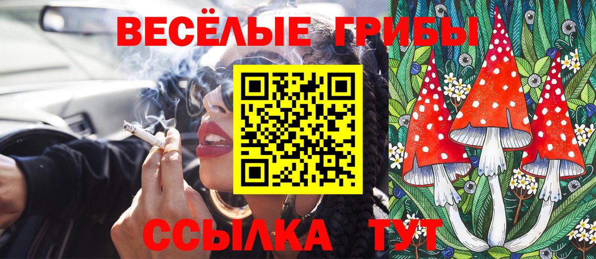 Галлюциногенные грибы мицелий  Вход с VPN  Мурино 