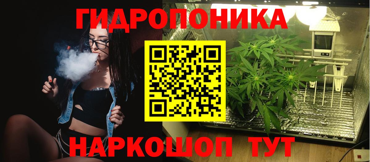 Бошки Шишки VHQ Мурино